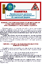 Безопасность на ЖД - Профилактика детского и подросткового травматизма на ЖД