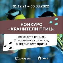 Школьная жизнь - Всероссийский конкурс «Хранители птиц»