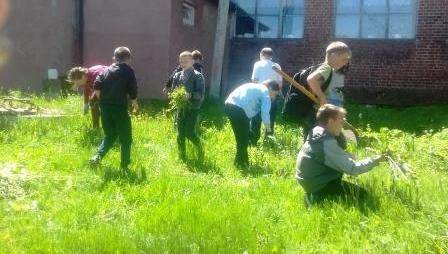 2017-2018 уч.год - Сражение с сорняками