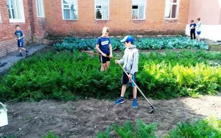 Летние каникулы 2018-2019 учебный год - Работа на грядках
