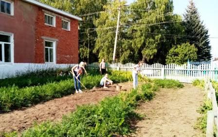 Летние каникулы 2018-2019 учебный год - Готовимся к уборке моркови