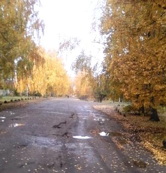 Осенние - Фотоконкурс в 7а классе