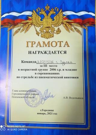 Физкультура и спорт - Участие в соревнованиях по стрельбе из пневматической винтовки