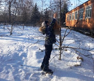 Зимние - "Помоги птицам зимой»
