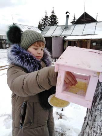 Зимние - "Помоги птицам зимой»