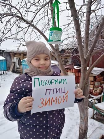 Зимние - "Помоги птицам зимой»