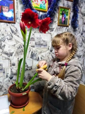 Зимние - Ребята 2б класса помогают родителям