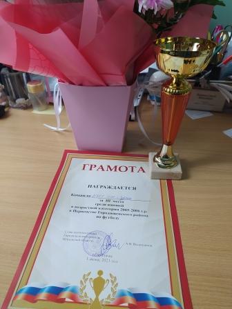 Физкультура и спорт - Первенство Городищенского района по футболу
