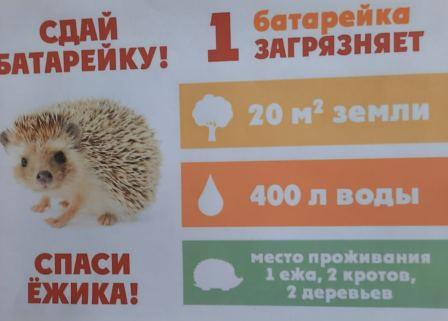 Интересно! - Акция «Спасибо ёжику". Собери батарейки- спаси природу