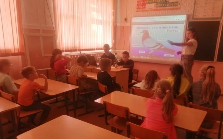 Летние - 13-день в ДОЛ «Улыбка". День пернатых птиц