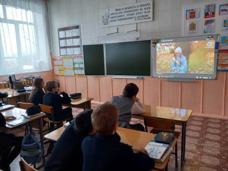 Школьная жизнь - Киноуроки в школе